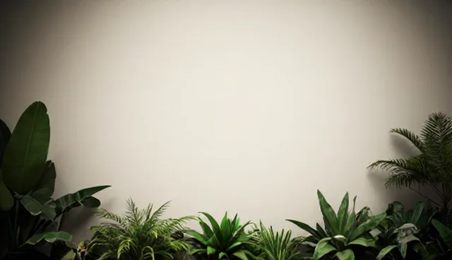 门诊服务中常见问题及处理方向